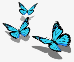 Monarch Butterfly - Butterfly Png Pic Hd