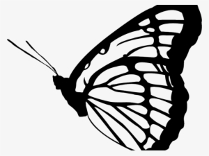 Monarch Butterfly Clipart Png Full Hd - Law Of Attraction Is Not A Secret