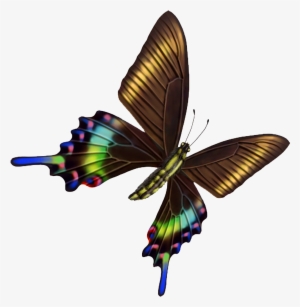 Hd Beautiful Colorful Butterfly Png - 現代ミステリーの収穫 Iii ロスト・コースト