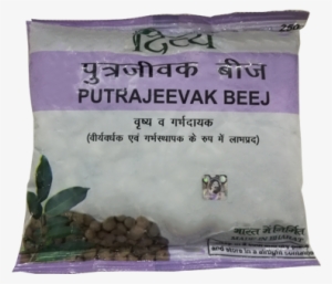 Putra Bijak Patanjali