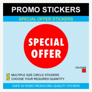 Photography Of Limited Offer Shoe By Deidre Mosher - Tall Stainless Steel Garage Cabinet 500mm