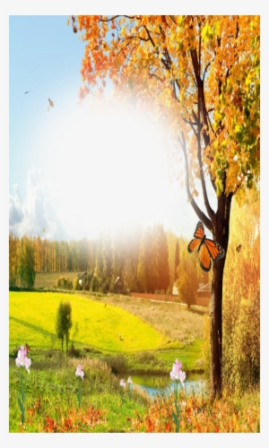 Freeuse Library Nature Beauty Photo Frame App Ranking - Beautiful Nature Frame Png