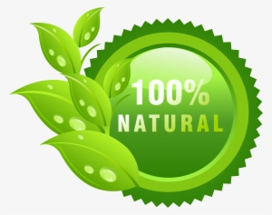 Leaf & Fiber 100 Count Natural Palm Leaf Oval Dinnerware