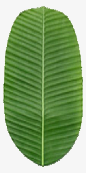 1024 X 1024 Png - Goodyear Ultragrip Ice Arctic Отзывы