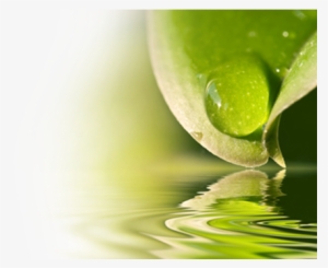 Beauty Through Nature - Drop