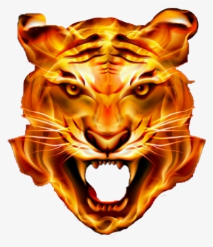 Lion Tiger Fire - 1mw 532nm 303 Green Beam Adjustable