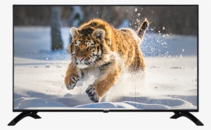 49" Toshiba Ultra Hd Wlan Tv Front - 49" Toshiba 49u5663dg Television