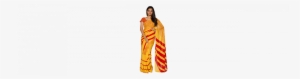 Sari