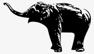 Elephant, Animal, Wild Animal