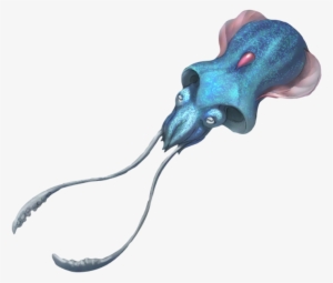 Tentacool Arvalis - Arvalis Real Life Pokemon Png