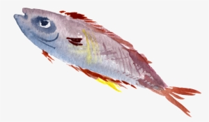 Colorful Watercolor Hand Drawn Fish Transparent - Fish Painting Png