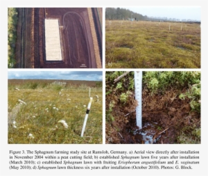 A) Schematic Plan View And B) Cross-section Of The - Diagram