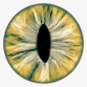 New 20 Eye Lens Png For Editing Eyes Lens Png Download