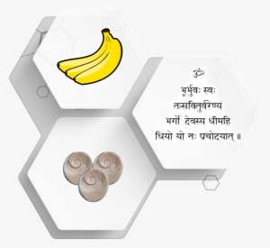 Anusuya Ghosal - Custom Bananas Shower Curtain