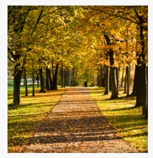 No Course Is The Same And There Is No Cookie Cutter - Escalante Golf, Inc.