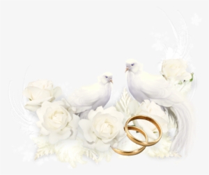 Happy Anniversary Wedding, Wedding Borders, Wedding - Fondo De Tarjetas De Boda