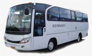 Bus - Mini Bus 30 Seat