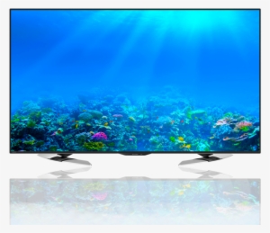 Sharp Led Tv - Deep Blue Themes Reef Light Aquarium Background (36-65