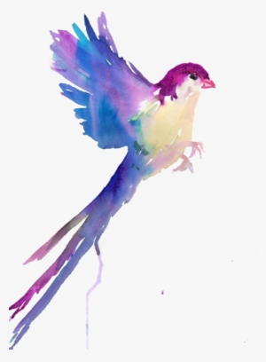Largest Collection Of Free To Edit Colorful Colors - Bird Drawings In Water Color