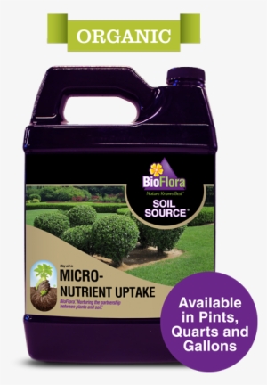 Soil Source® - Wam Bam No-dig Fence Nantucket Vinyl Picket Fence W/