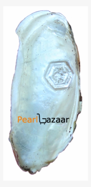 Laxmi Ji Designer Pearl - Pearl