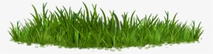 Quick Order Now - Sweet Grass