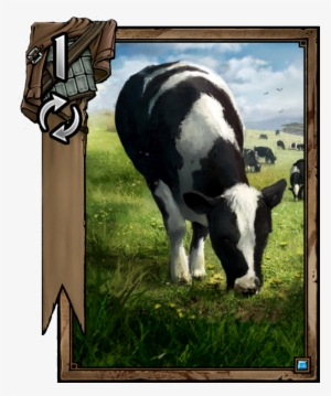 Cow Gwent