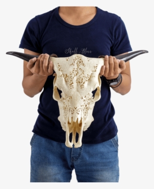 Carved Cow Skull - Cow Skull Indian Eagles