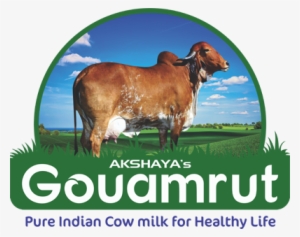 9573 433 666 - Gir Cow Milk Packaging