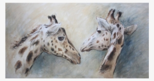 Giraffe Affection - Giraffe