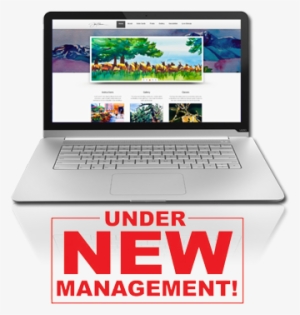 Custom Websites - Vizio Thin And Light Ct15-a2 15.6-inch Laptop