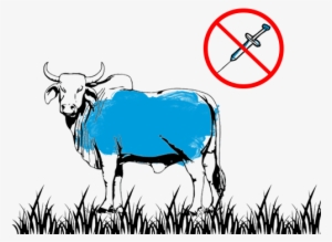 No Growth Hormones