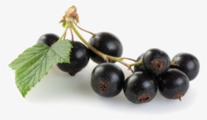 Jamun Java Plum Png File - Fruits For Diabetes