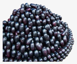 Jamun Java Plum Png Image - Jamun Fruit