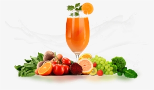 The Differences Between Centrifugal Juicers & Cold - Ultimate Fruit Juicer Extractor Fruit Vegetable Juicer