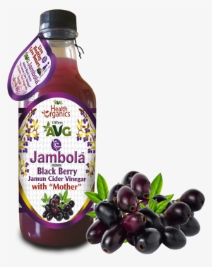 Avg Jamun Cider Vinegar - Neem Juice Organic, 500ml, 16 Oz, Ancient Veda