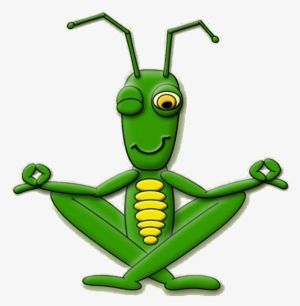 Cricket Insect Png Pic - Cricket Insect