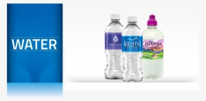 Aquafina Purified Water - Aquafina Water 20 Oz Plastic Bottles Pack