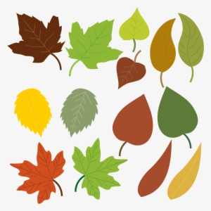 Big Image - Leaves Clipart
