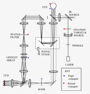 Optical Layout Of The Versatile Hs Wfs - Diagram