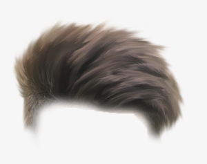 Hair Png - Picsart Photo Studio