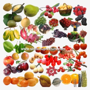 Cut Out Fruits Download Here - Cut Out Of Vegetables