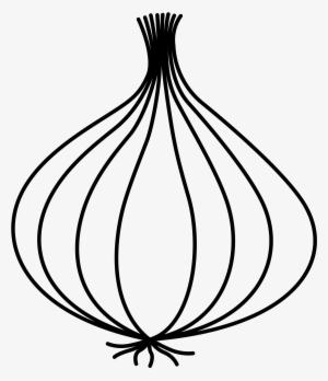 Clip Library Download Drawn Line Drawing Free On Dumielauxepices - Line Drawing Of Onion