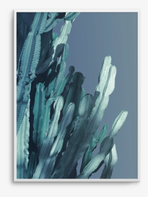 Cactus In Blue No 2 - Blue