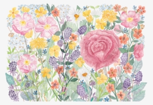 Illustrator, Watercolor Artist, Modern Calligraphy, - Artist