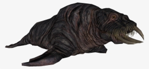 Horker - The Elder Scrolls