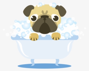 Jpg Black And White Download Dog Brush Clipart - Pug Tomando Banho Desenho