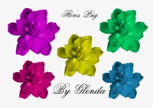 Flores Png By Agnes - Flores Png