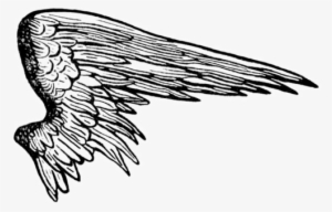 Angel Wings Shower Curtain