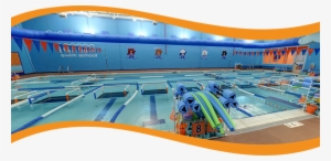 Bear Paddle Swim School Is A Month To Month Year Round - Leisure Centre